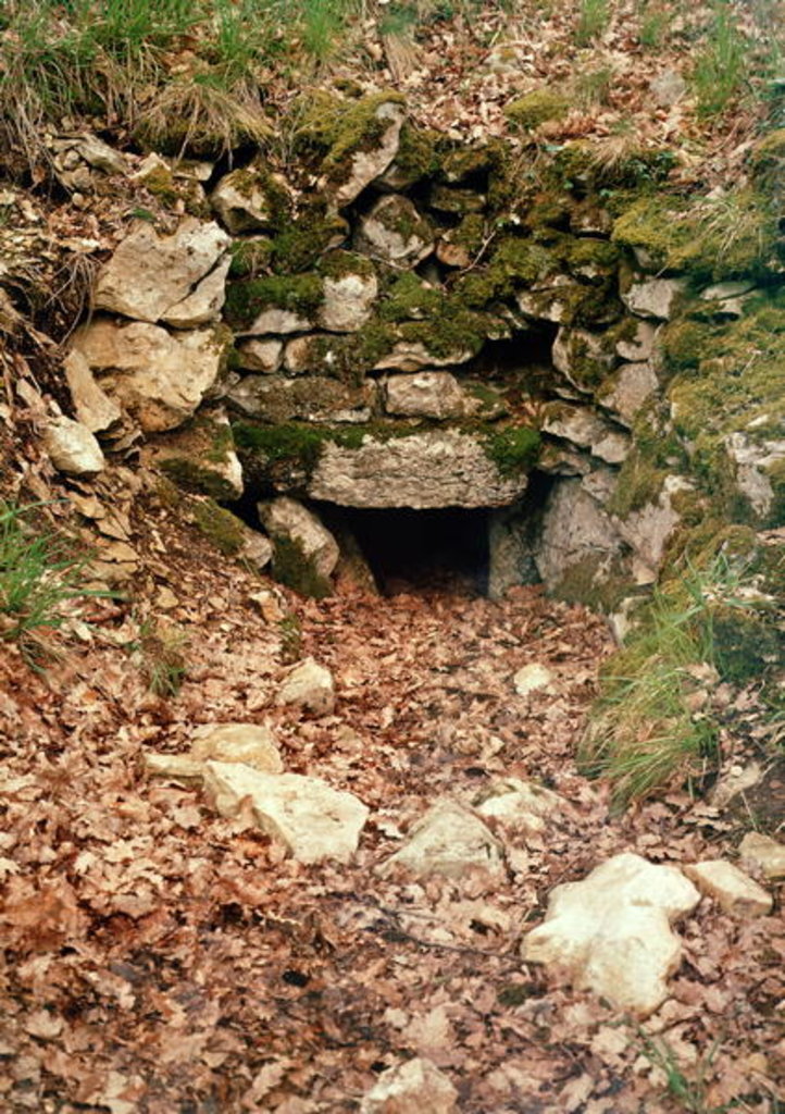 Detail of Covered entrance to a tumulus by Prehistoric Prehistoric
