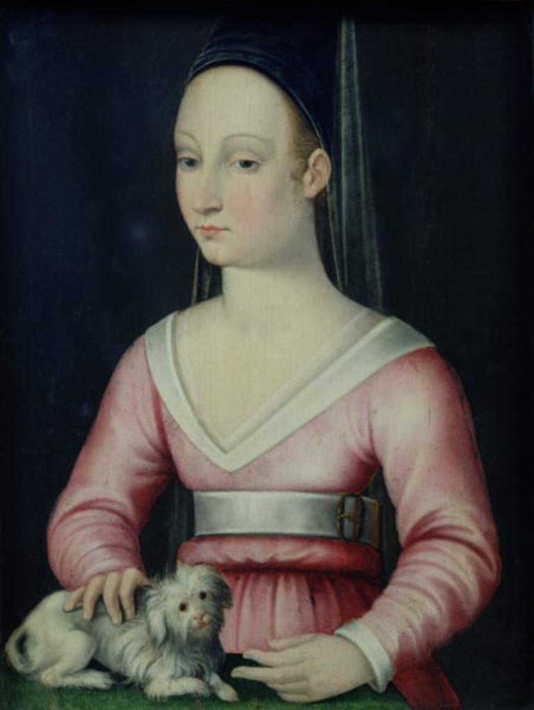Detail of Portrait of Agnes Sorel by French School
