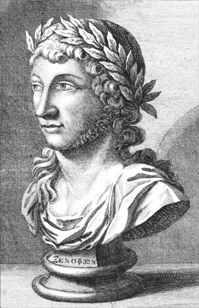 Detail of Bust of Xenophanes by French School