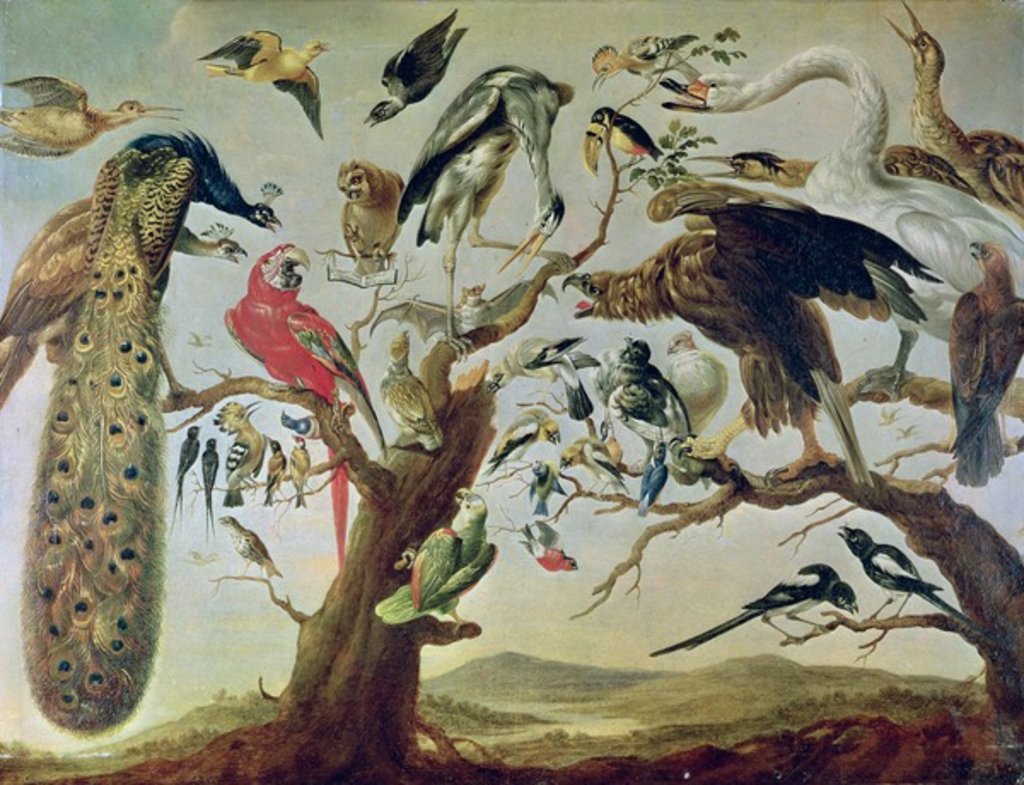 Detail of The Bird's Concert by Frans (after) Snyders