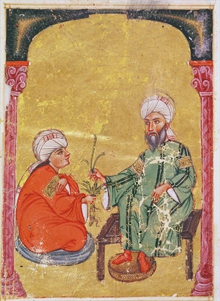 Detail of Ahmet III, 2127 Illustration from 'De Materia Medica' by Dioscorides by Mesopotamian