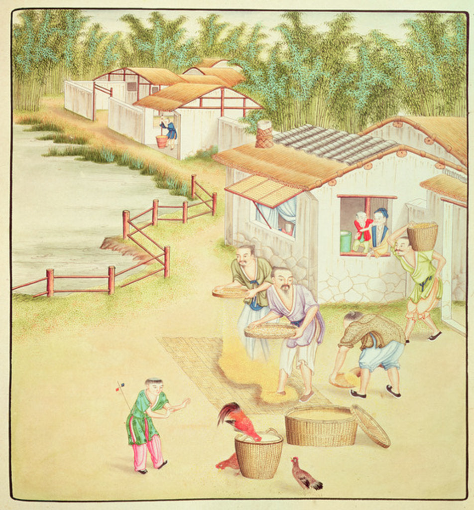 Detail of Chinese Peasants Sifting Rice by School Chinese