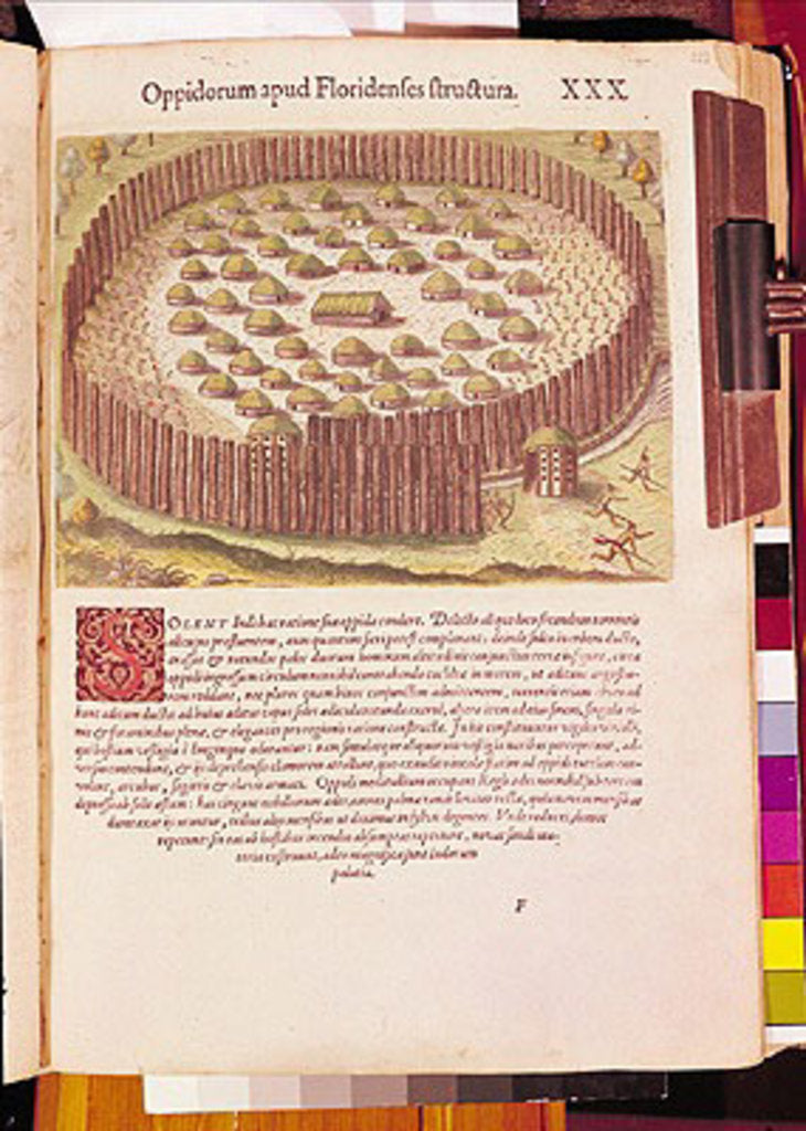 Detail of Fortified Indian Village by Th. after Le Moyne J. Bry