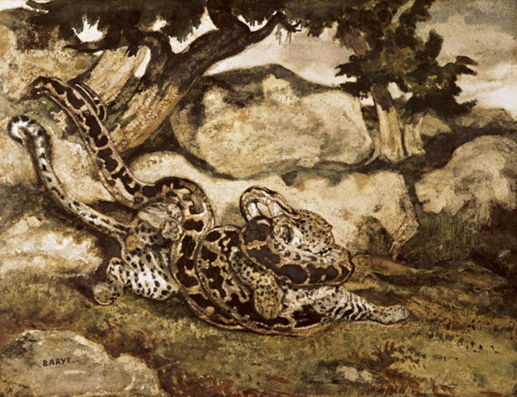 Detail of A Python Killing a Tiger by Antoine Louis Barye
