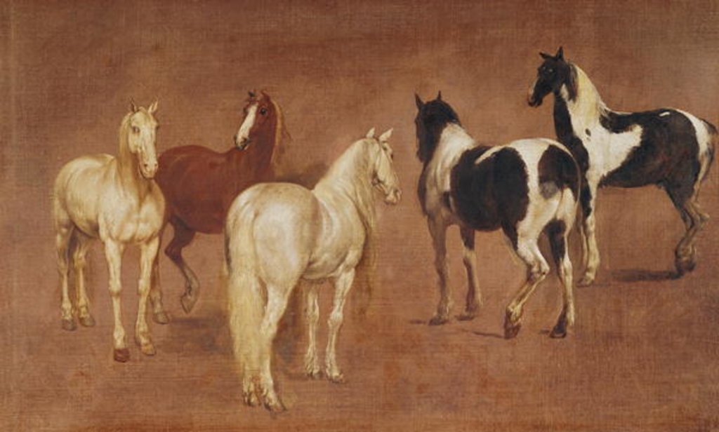 Detail of Study of Five Horses by Adam Frans van der Meulen