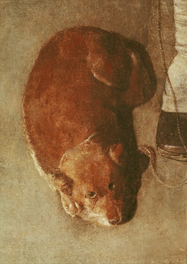 Detail of The Hurdy Gurdy Player with his Dog, c.1620 by Georges de la Tour