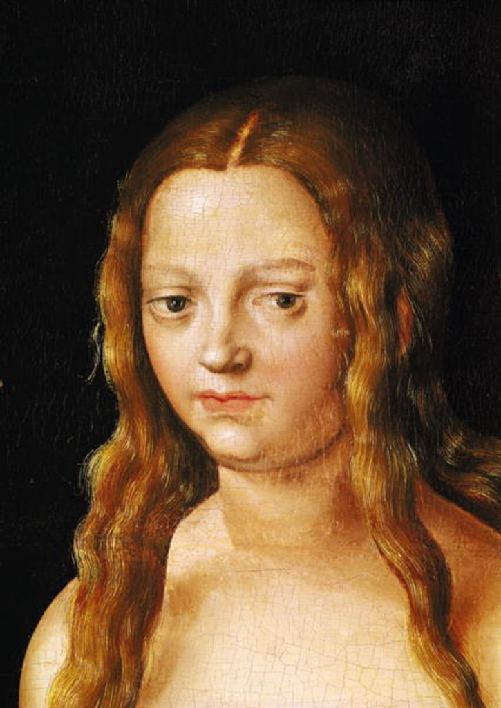 Detail of Adam and Eve, detail of Eve's head by Lucas the Elder Cranach