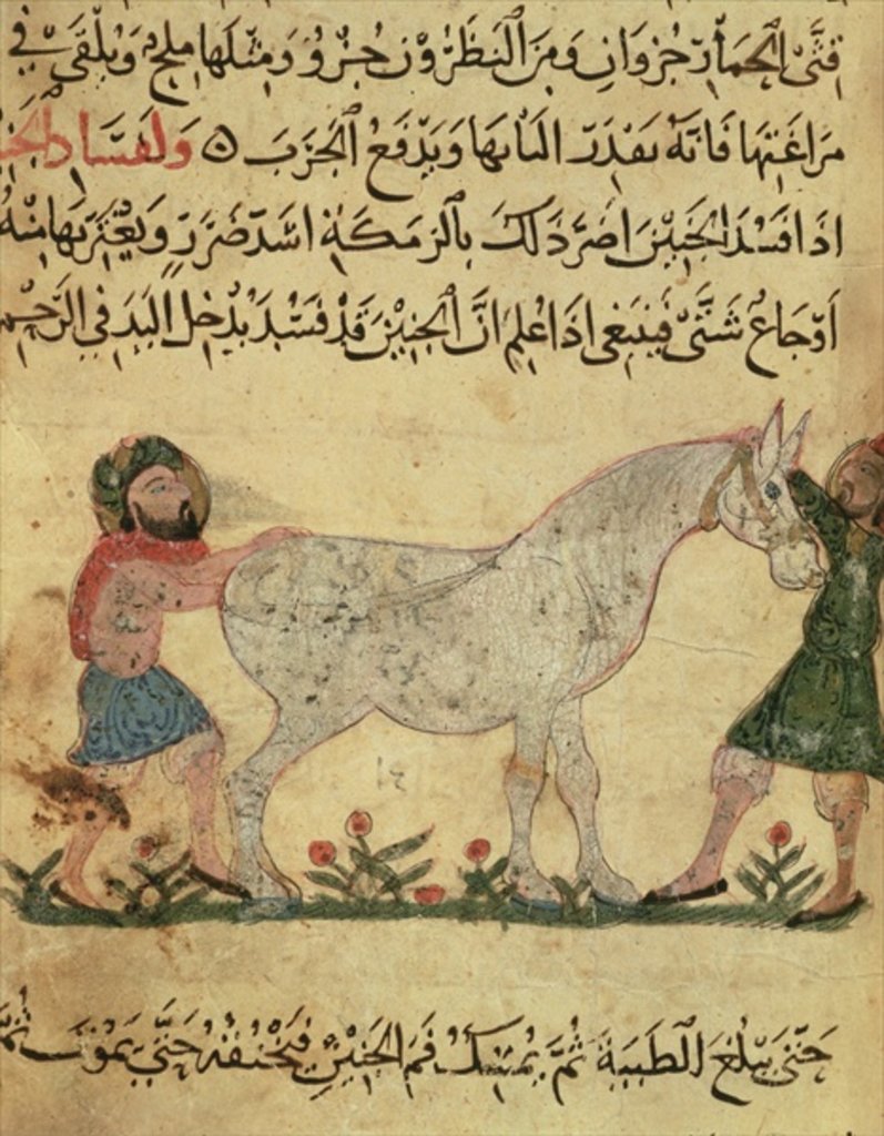 Detail of A veterinarian helping a mare to give birth by Islamic School