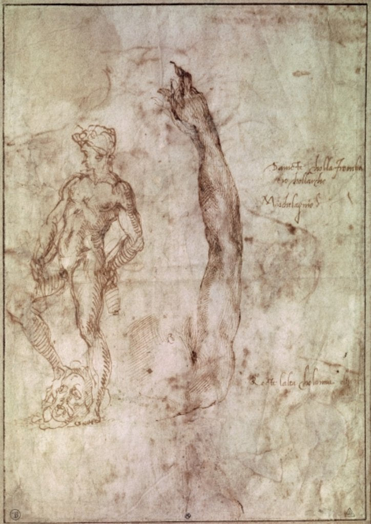 Detail of Study for David by Michelangelo Buonarroti