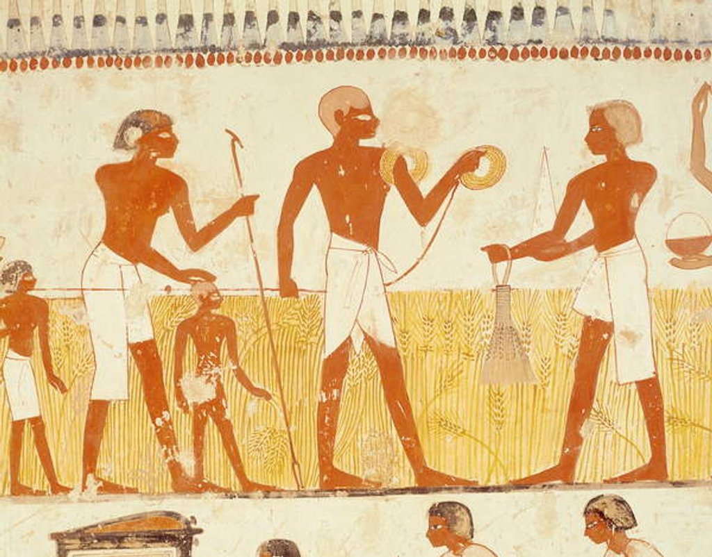 Detail of Measuring the land using rope by Egyptian 18th Dynasty
