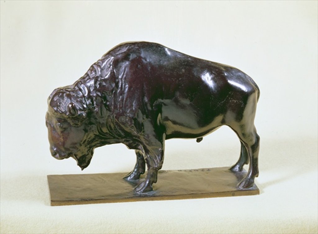 Detail of Bison, 1907 by Francois Pompon