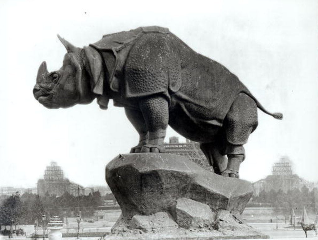 Detail of Rhinoceros, 1878 by Adolphe Giraudon