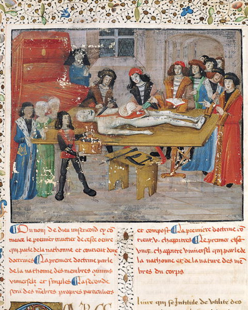 Detail of Dissection lesson at the Faculty of Medicine in Montpellier by French School