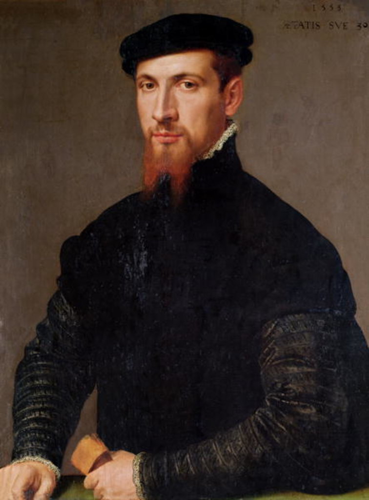 Detail of Portrait of Simon Renard, 1553 by Giacomo Antonio Moro