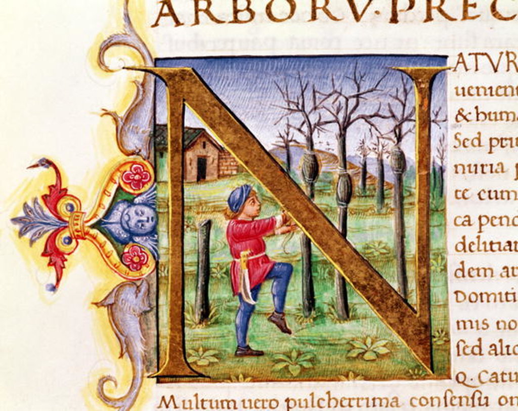 Detail of Historiated Initial 'N' depicting a man hewing trees, the 'Natural History' by Pliny the Elder by Italian School