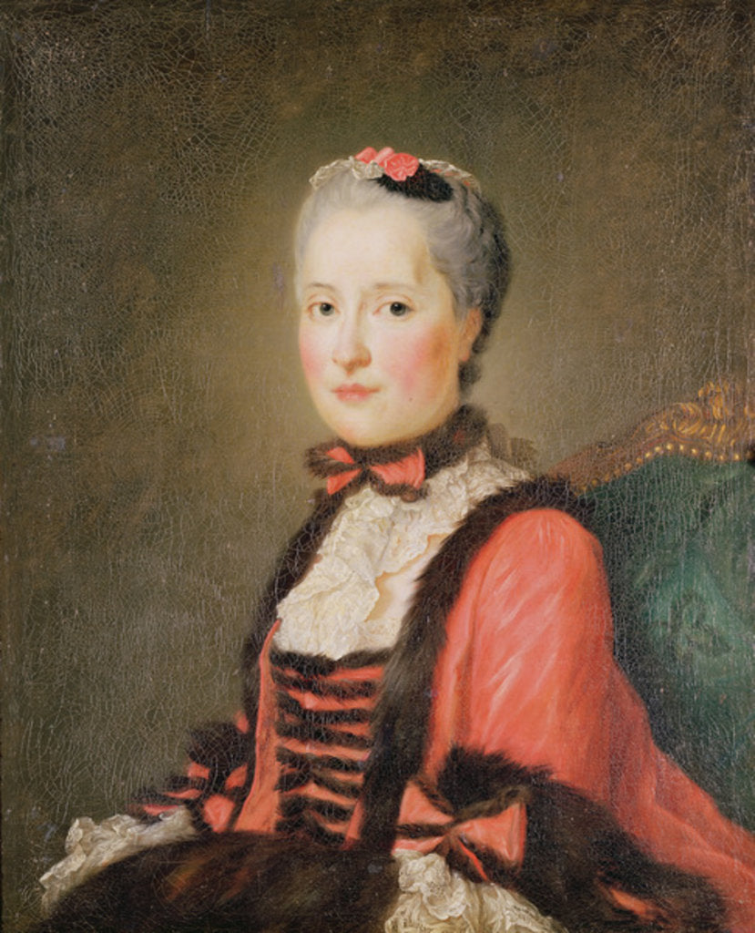 Detail of La Dauphine Marie-Josephe de Saxe attributed to Jean Marc Nattier or Jean Baptiste Perroneau by French School