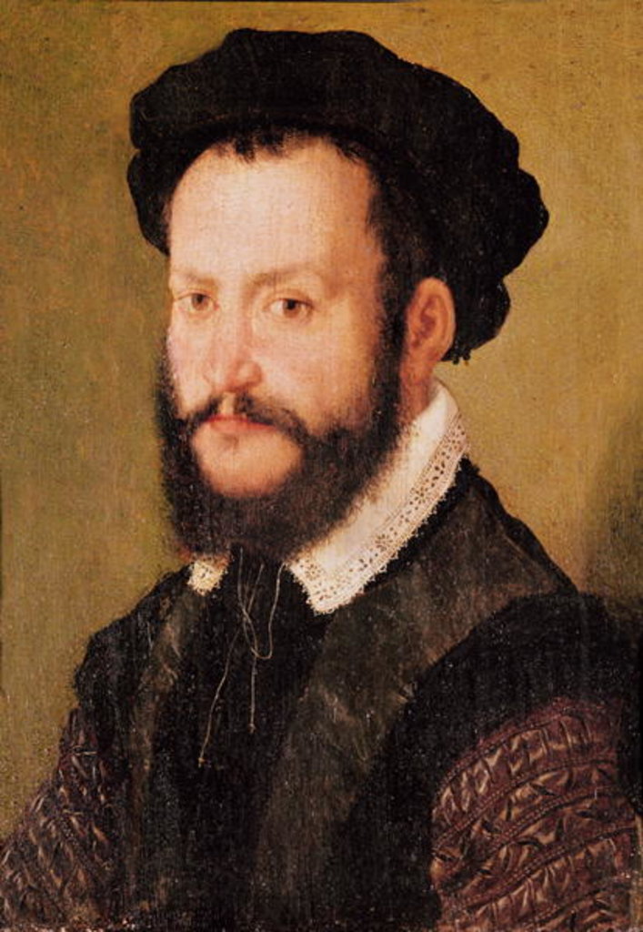 Detail of Portrait of a Man with Brown Hair, c.1560 by Corneille de Lyon