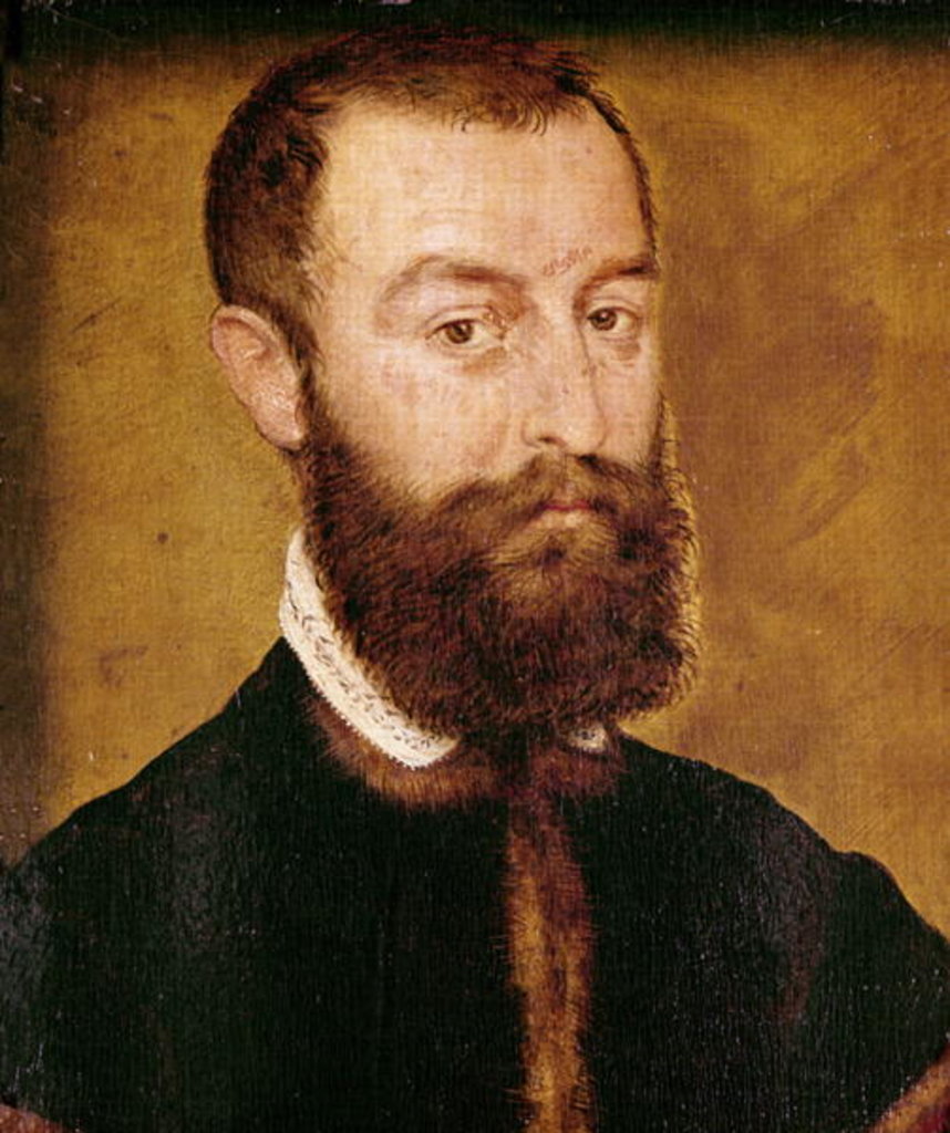 Detail of Portrait of a Man with a Beard or, Portrait of a Man with Brown Hair by Corneille de Lyon