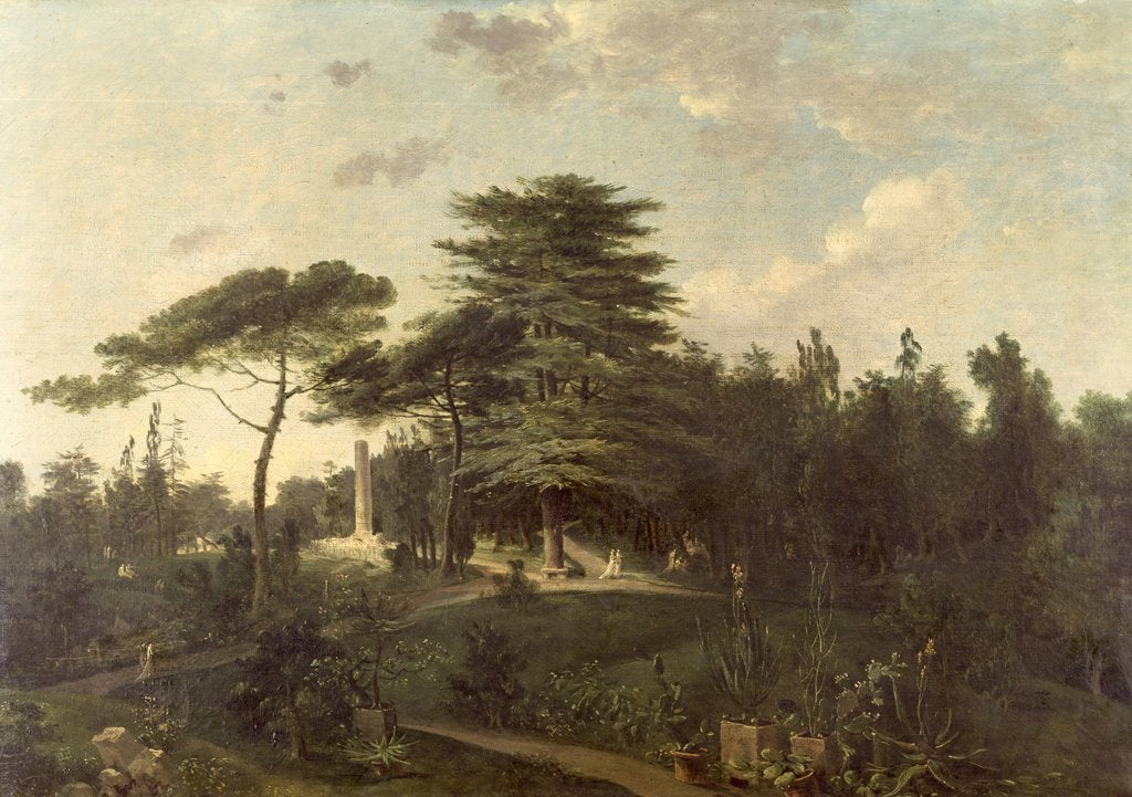 Detail of The Cedar of Lebanon in the Jardin des Plantes by Jean-Pierre Houel