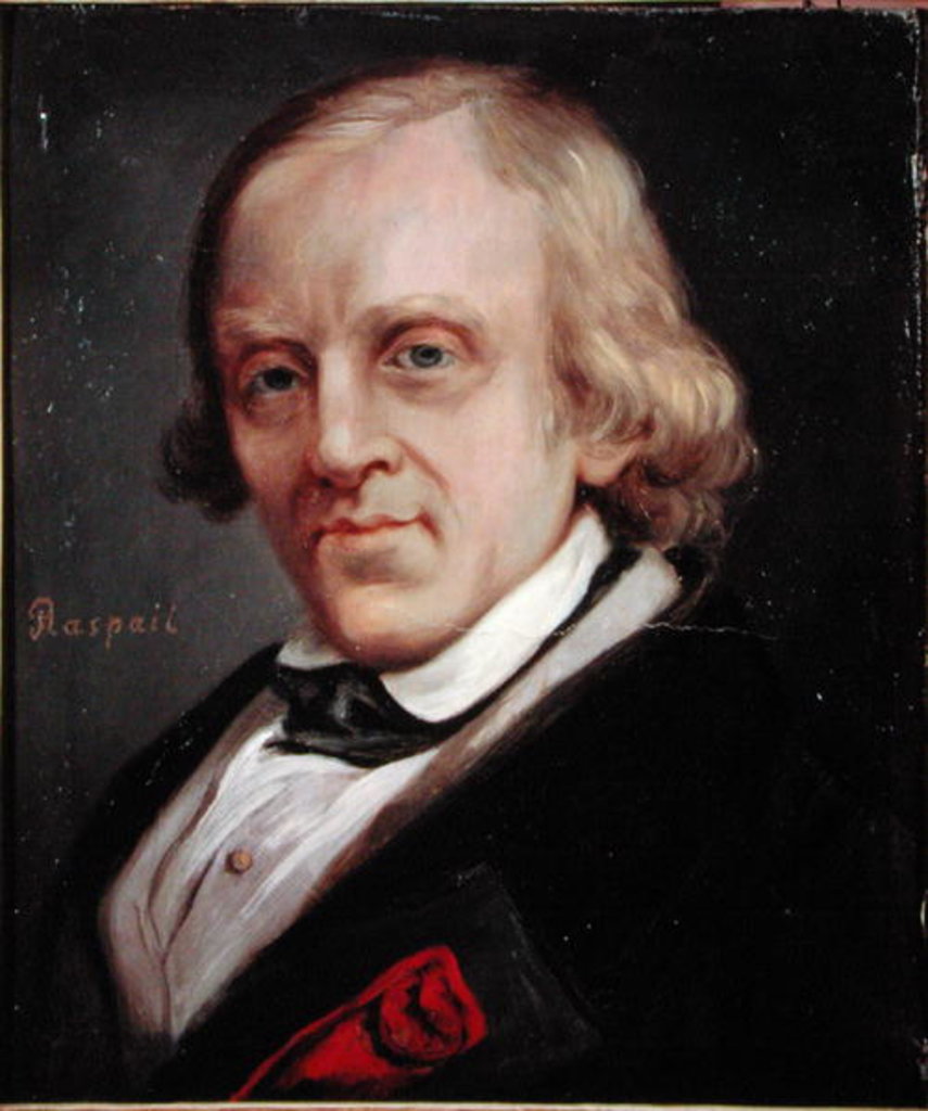 Detail of Francois Vincent Raspail 1849 by Denis Bonnet
