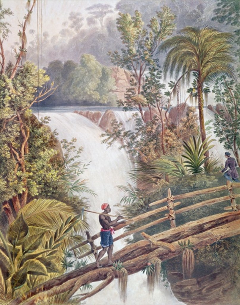 Detail of Itamaraty Waterfall in the Serra da Estrela by William Gore Ouseley