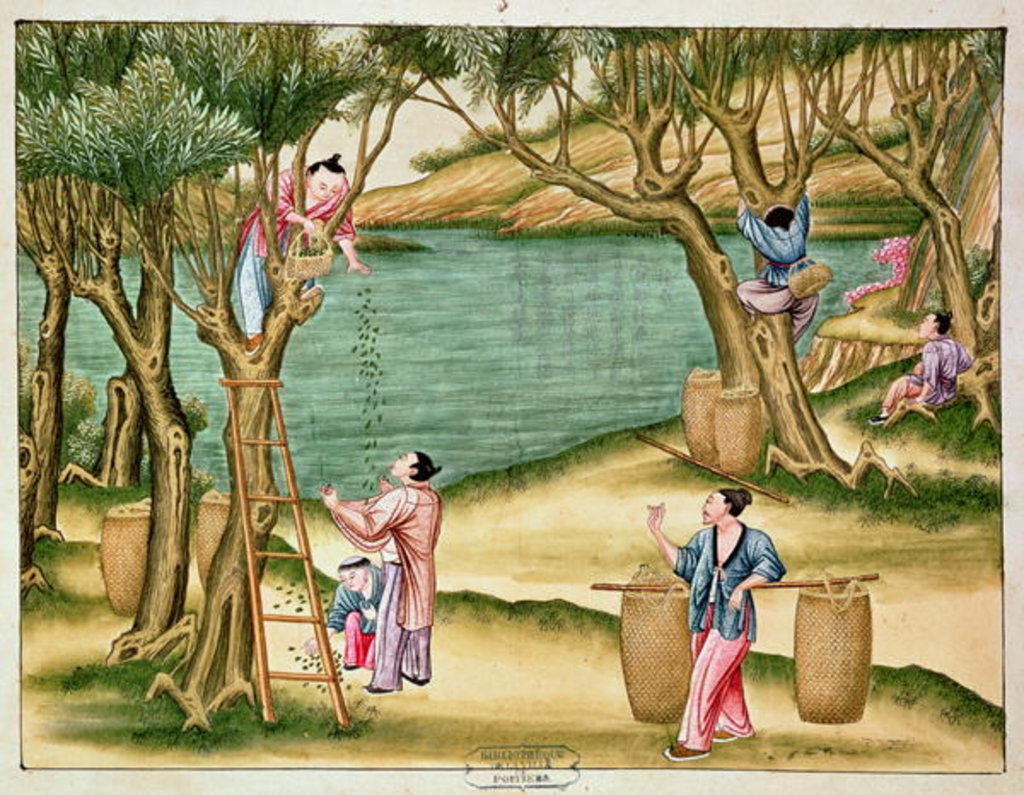 Detail of Collecting mulberries by School Chinese