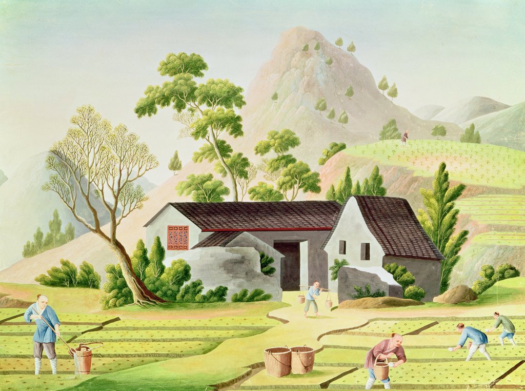 Detail of Peasants in the Paddy Fields by School Chinese