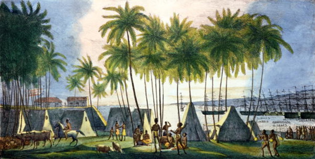 Detail of Port of Hanarourou in the Sandwich Islands by Ludwig Choris