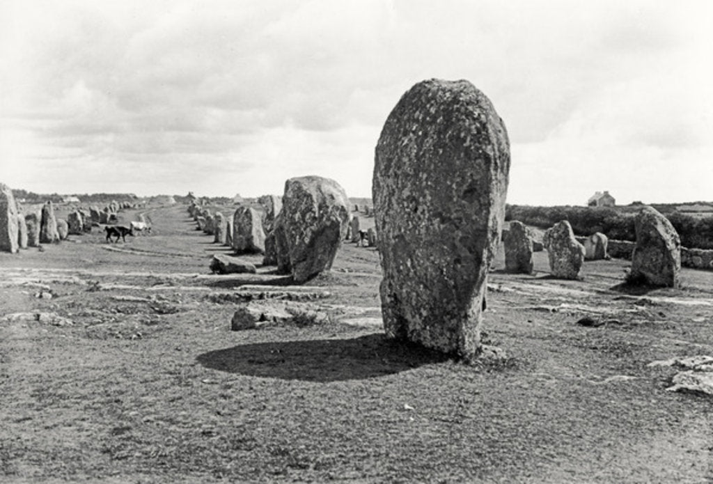 Detail of Alignment of Standing Stones, Megalithic, 4th-3rd millennium BC by Prehistoric Prehistoric