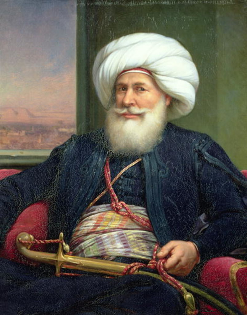 Detail of Mehemet Ali, 1840 by Louis Charles Auguste Couder