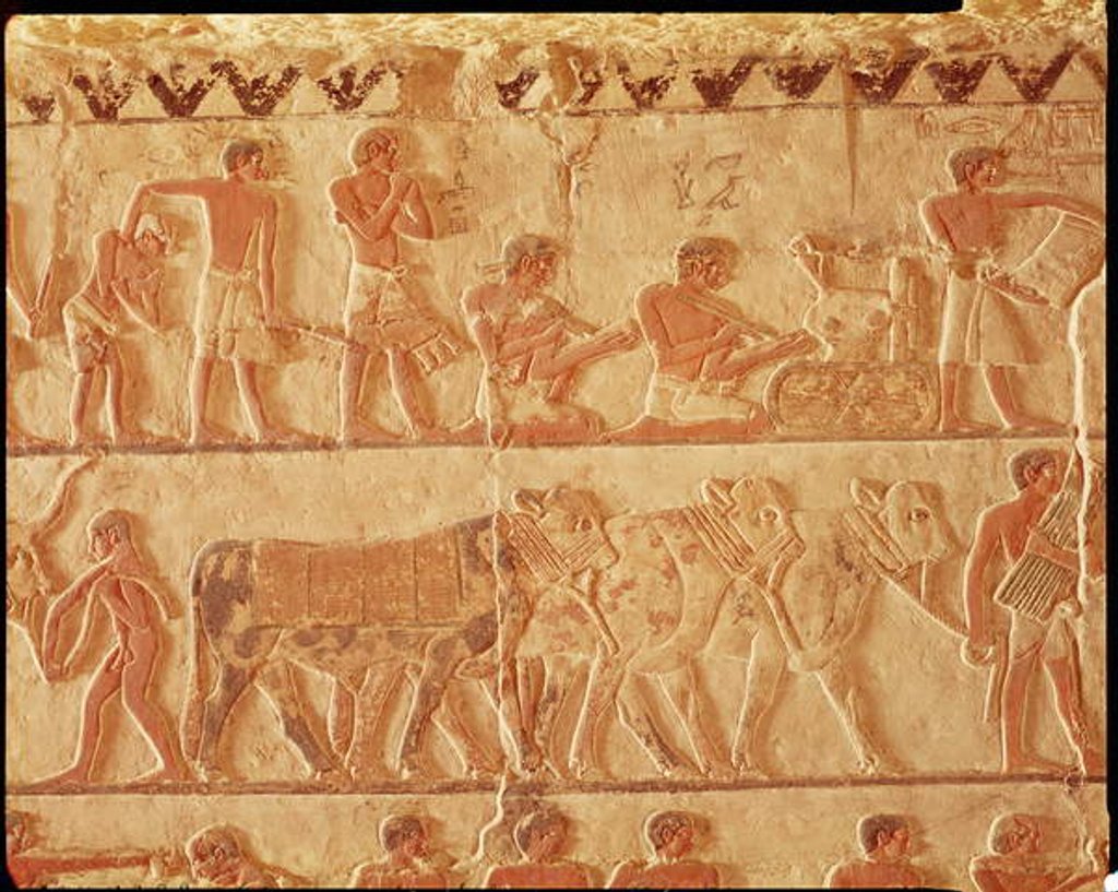 Detail of Painted relief depicting the posting of taxes and a group of cattle, Old Kingdom by Egyptian 5th Dynasty