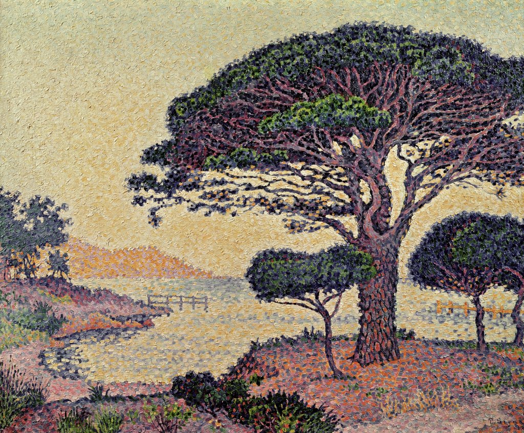 Detail of Umbrella Pines at Caroubiers, 1898 by Paul Signac