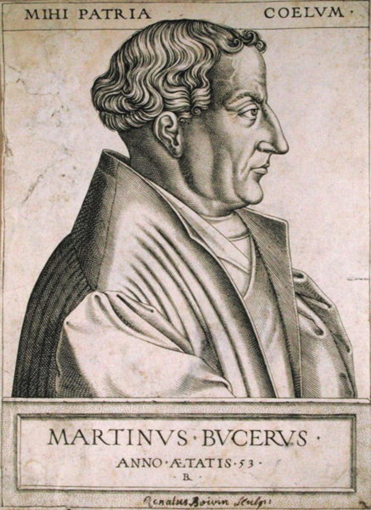 Detail of Martin Bucer at the age of 53 by Rene Boyvin