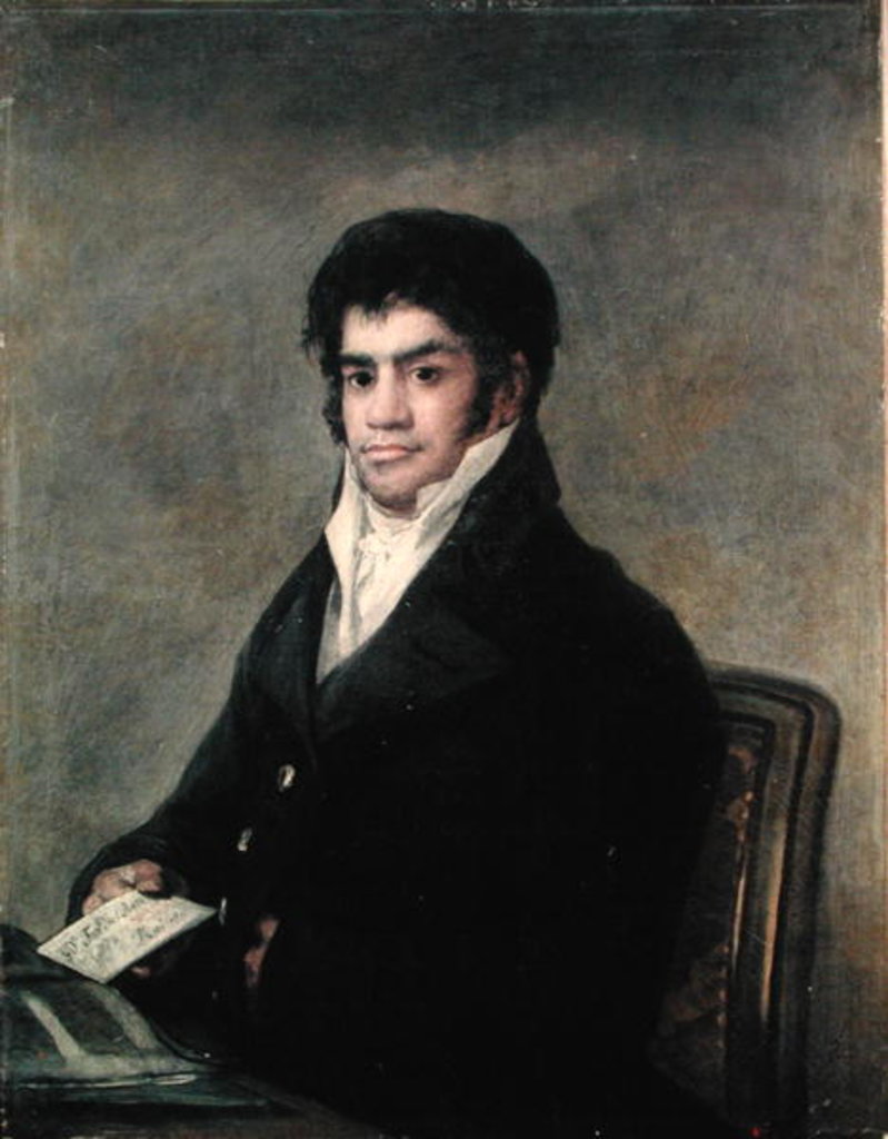 Detail of Portrait of Don Francisco del Mazo, c.1815 by Francisco Jose de Goya y Lucientes