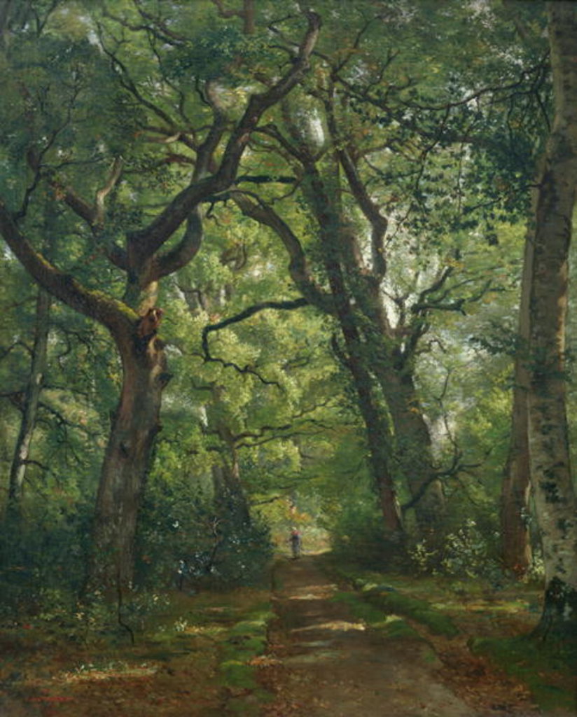 Detail of Path in the Forest, 1864 by Henri Joseph Constant Dutilleux