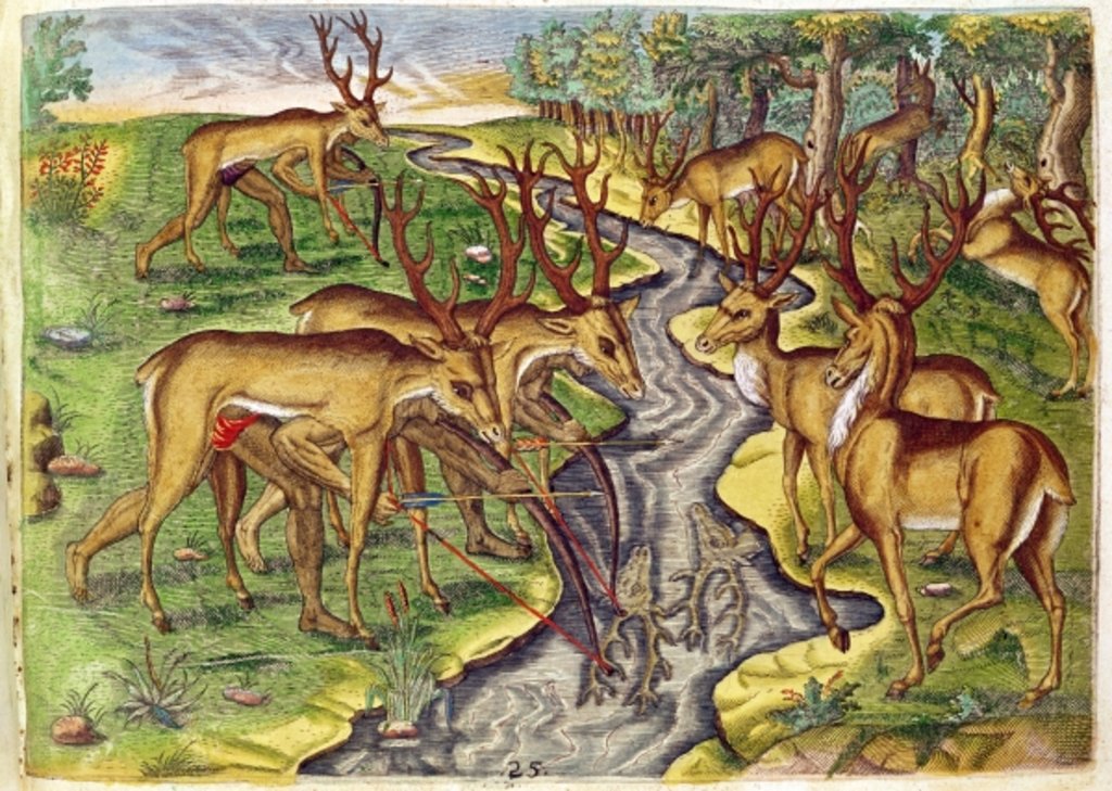 Detail of Stag Hunt by Jacques Le Moyne