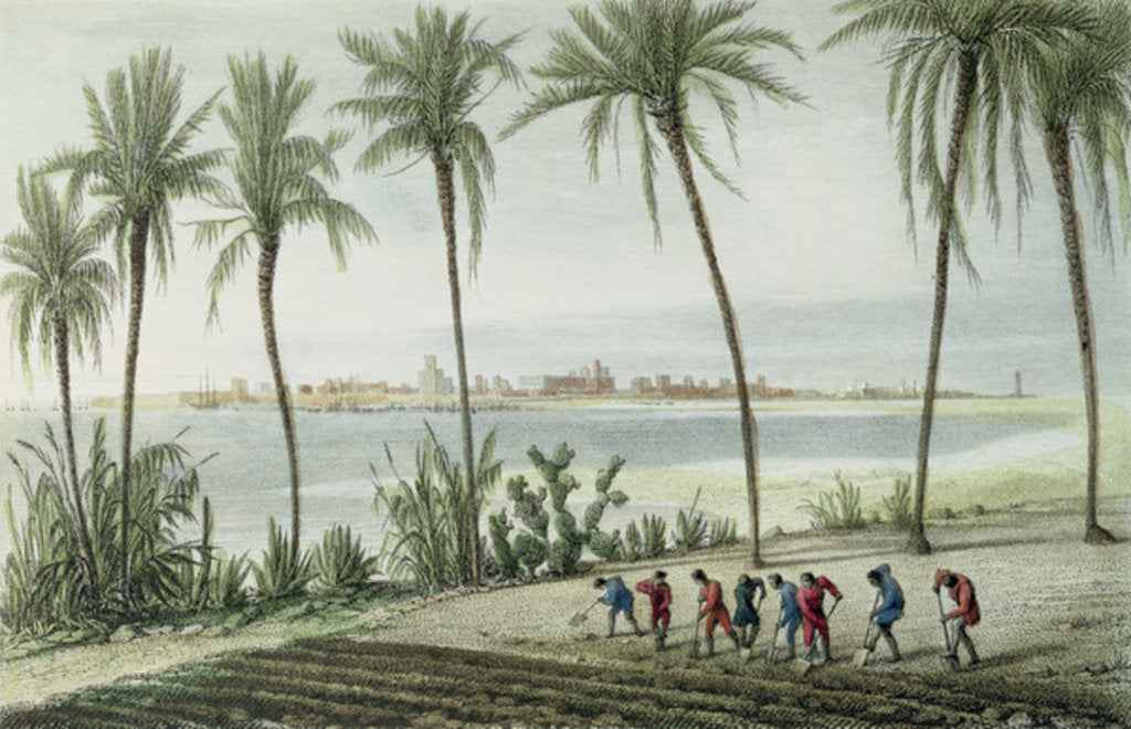 Detail of General View of Cadiz by J. Taylor