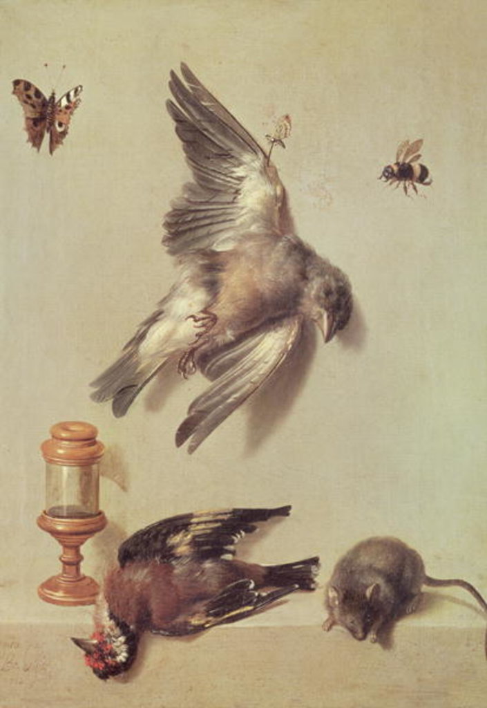 Detail of Still Life of Dead Birds and a Mouse, 1712 by Jean-Baptiste Oudry
