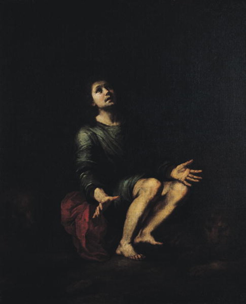 Detail of Daniel in the Lions' Den by Bartolome Esteban Murillo
