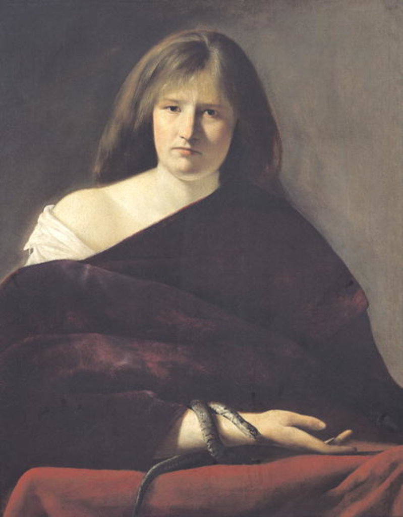 Detail of Allegory of Syllogism by Paulus Bor