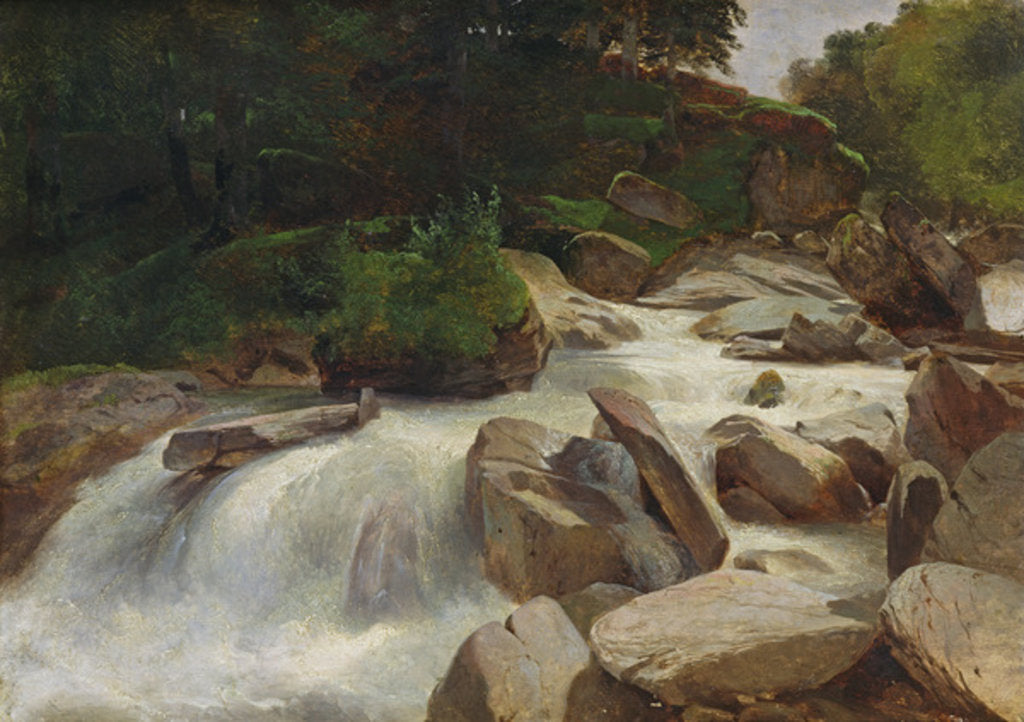 Detail of River Study, c.1846-50 by Alexandre Calame
