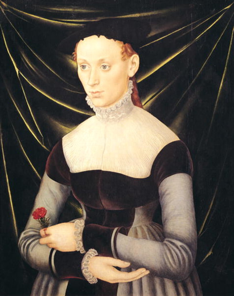Detail of Woman with a Carnation by Lucas the Elder Cranach