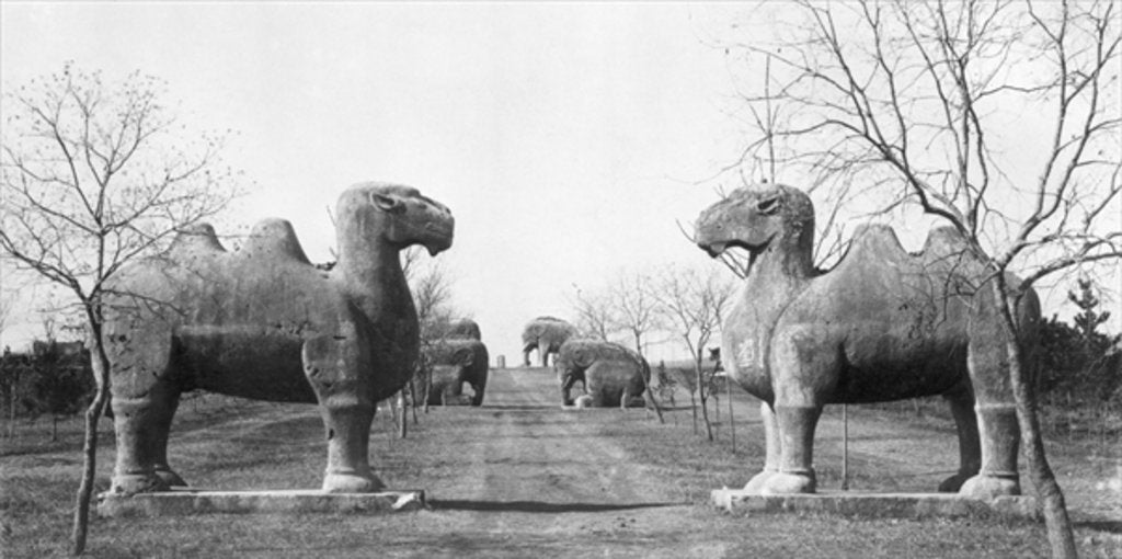 Detail of Sacred path to the tomb of the Ming Emperor Hongwu at Nanjing, China by French Photographer