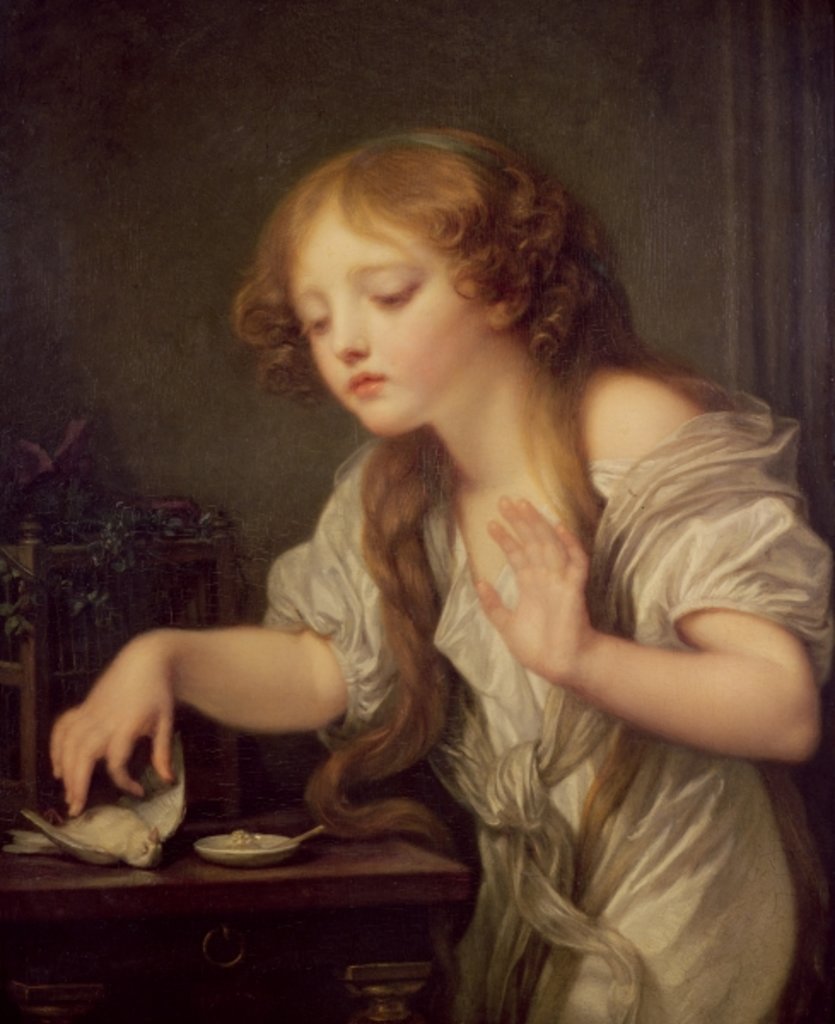 Detail of The Dead Bird by Jean Baptiste Greuze