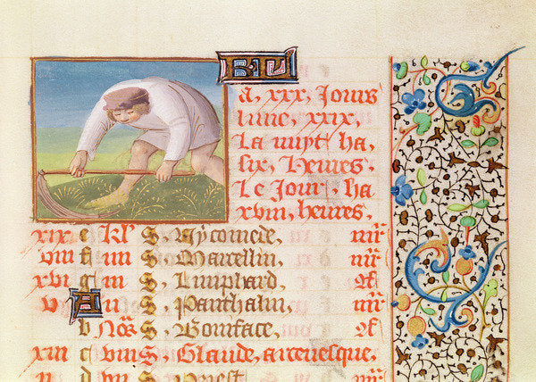 Detail of Ms 134 June: Reaping by French School