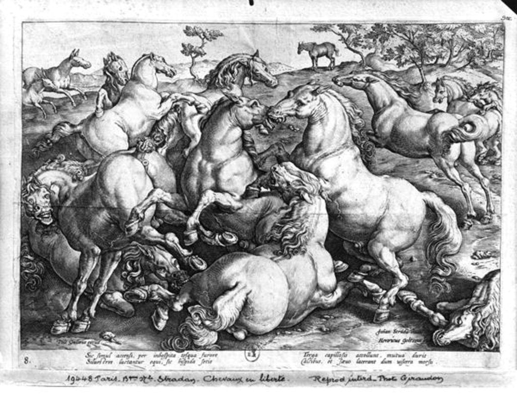 Detail of Horses in the wild by Jan van der (1523-1605) (after) Straet