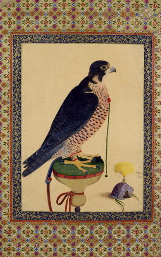 Detail of Ms E-14 Falcon, from a Moraqqa by Islamic School
