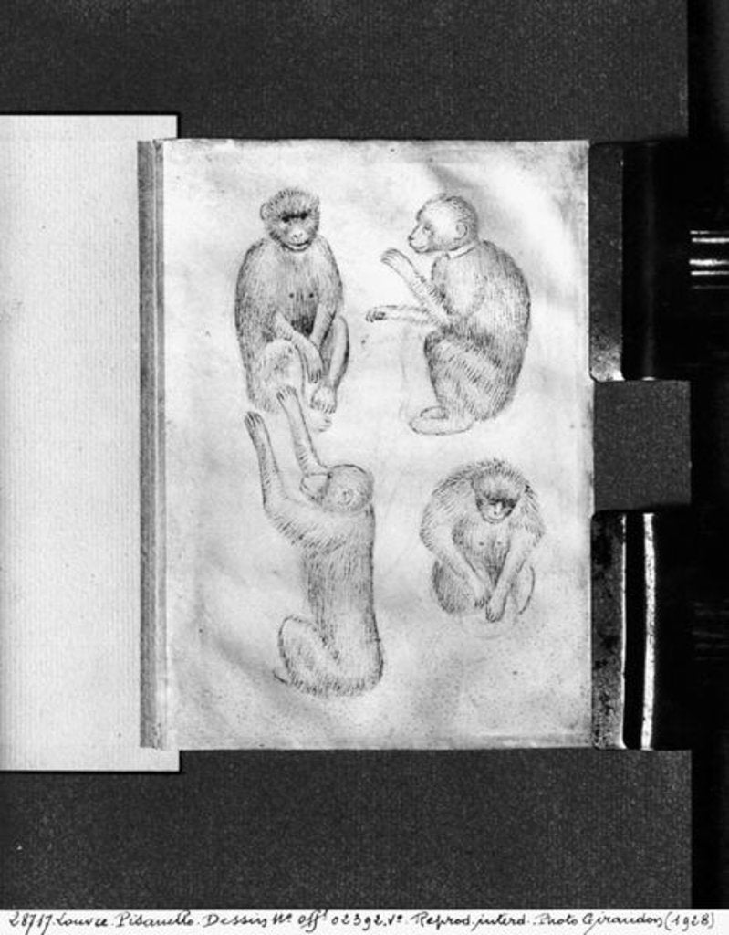 Detail of Monkeys by Antonio Pisanello
