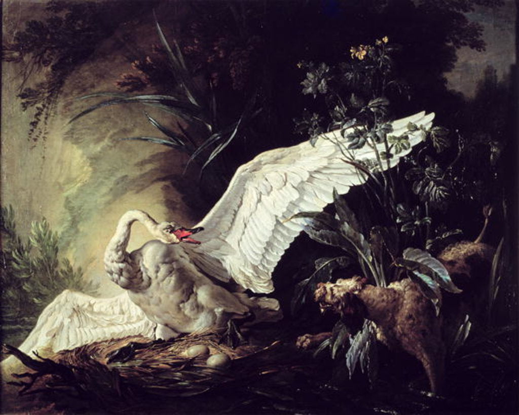 Detail of A Water Spaniel Attacking a Swan on its Nest, 1740 by Jacques Charles Oudry