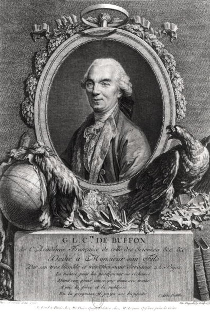 Detail of Georges-Louis Leclerc Comte de Buffon by Andre Pujos